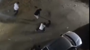 لحظة التعدي على كلب بالقاهرة