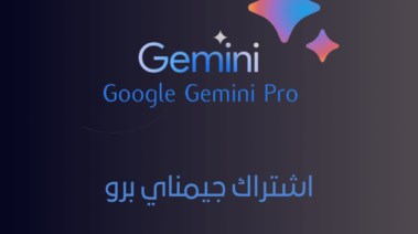 جيميني برو 