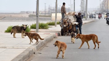 صورة تعبيرية 