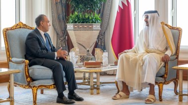 وزير الخارجية والهجرة، بدر عبدالعاطي و أمير دولة قطر، الشيخ تميم بن حمد آل ثاني