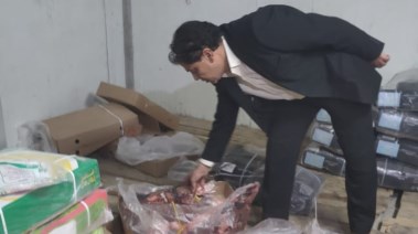 الدكتور طارق لطفي مدير الطب البيطري 
