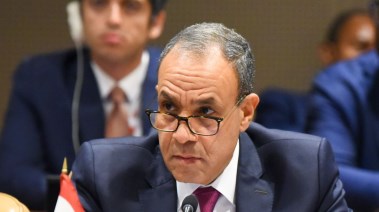 وزير الخارجية والهجرة، بدر عبد العاطي