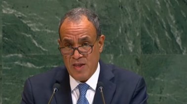 وزير الخارجية  الدكتور بدر عبد العاطي- أرشيفية
