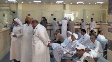 بدء استخراج تصاريح صيد الطيور المهاجرة من أوروبا