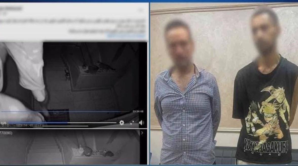 المتهمان في سرقة مشغولات ذهبية بالجيزة المتهمان في سرقة مشغولات ذهبية بالجيزة