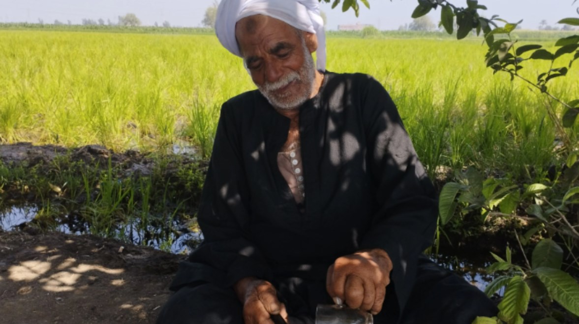 فلاح - أرشيفية فلاح - أرشيفية