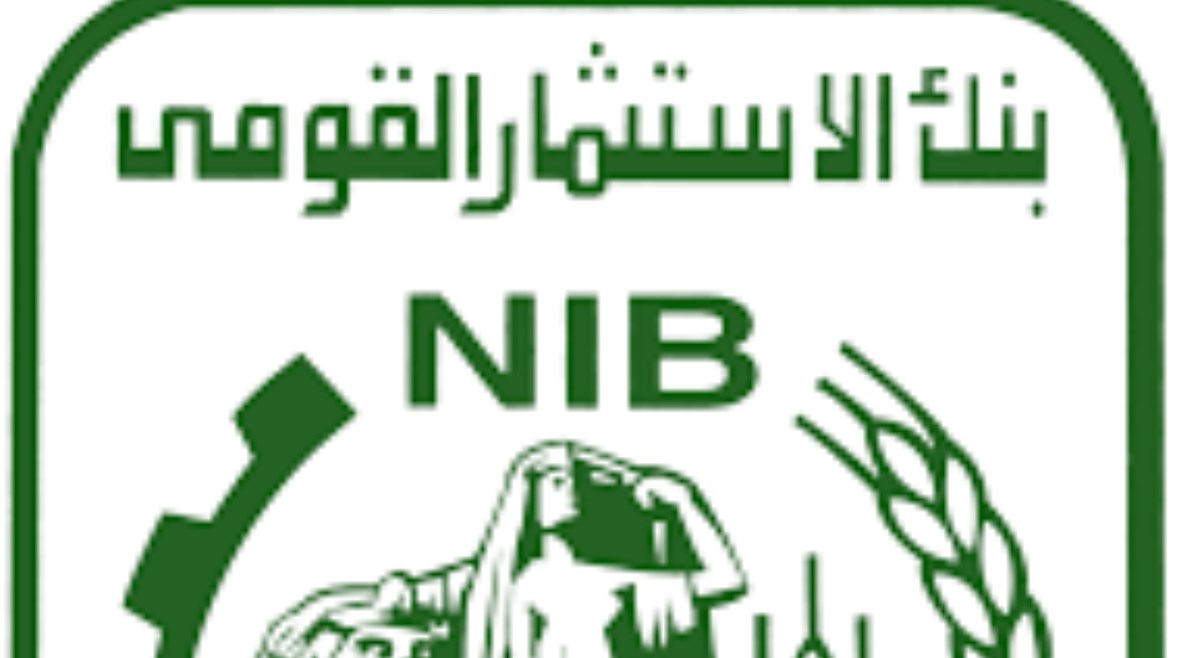 بنك الاستثمار القومي بنك الاستثمار القومي