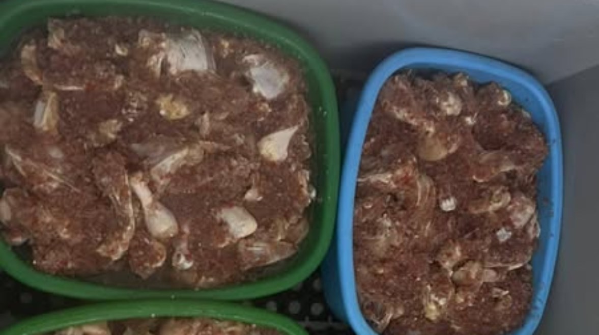 لحوم فاسدة لحوم فاسدة