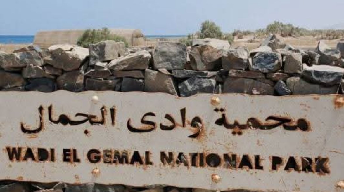 محمية وادي الجمال محمية وادي الجمال