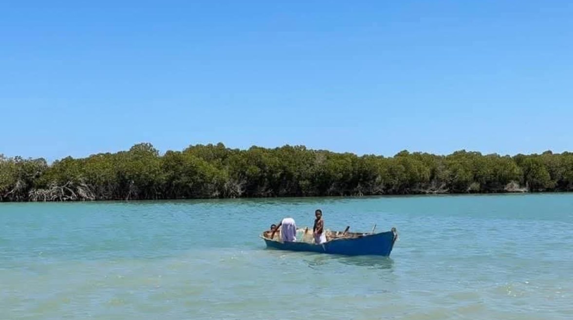 شواطئ الجنوب بكر