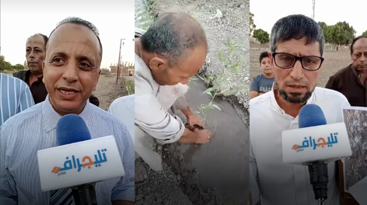 أهالي قرية شرنوب بالبجيرة
