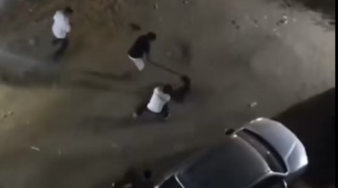 لحظة التعدي على كلب بالقاهرة لحظة التعدي على كلب بالقاهرة