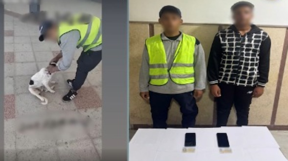 المتهمان قبل وبعد ضبطهما المتهمان قبل وبعد ضبطهما