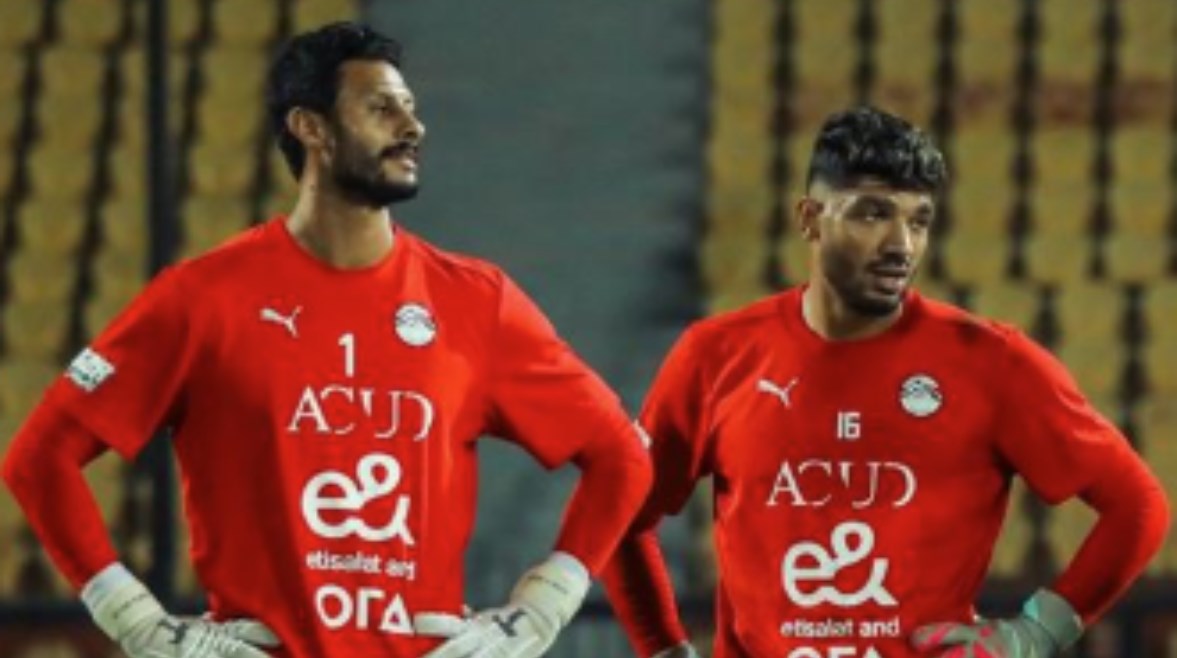 محمد الشناوي ومحمد صبحي محمد الشناوي ومحمد صبحي