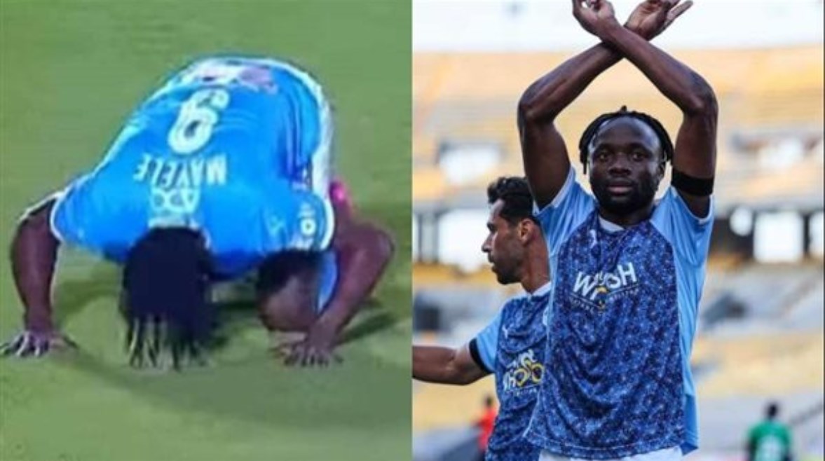 فيستون مايلي