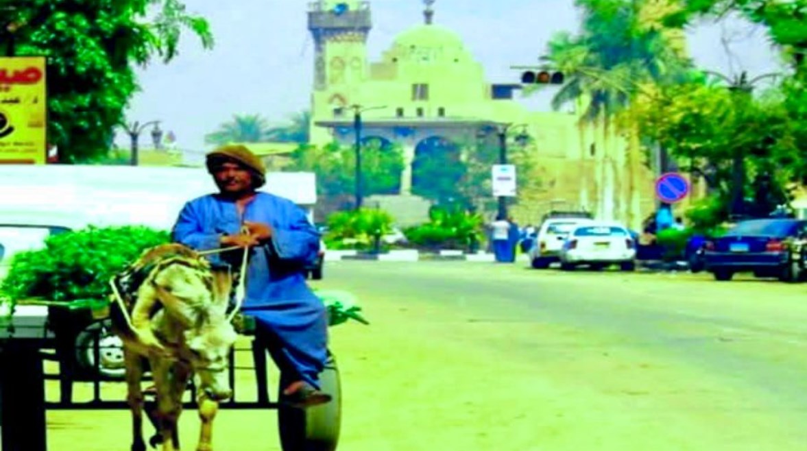 أبو روشتة أقدم المتسولين في الأقصر 
