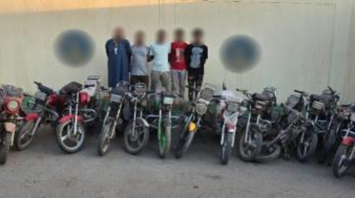 جانب من المضبوطات جانب من المضبوطات