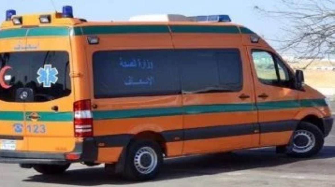ارشيفيه ارشيفيه