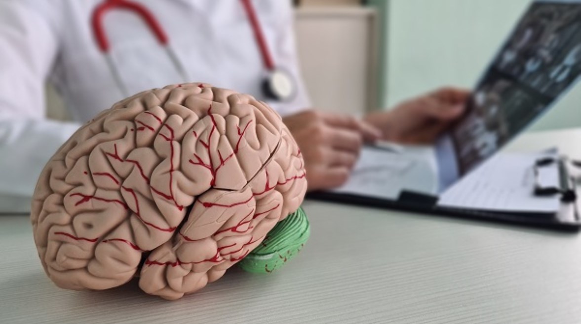 باحثون يبتكرون كبسولات بحجم حبة الرمل لعلاج التهابات الدماغ وتحسين صحة الأعصاب
