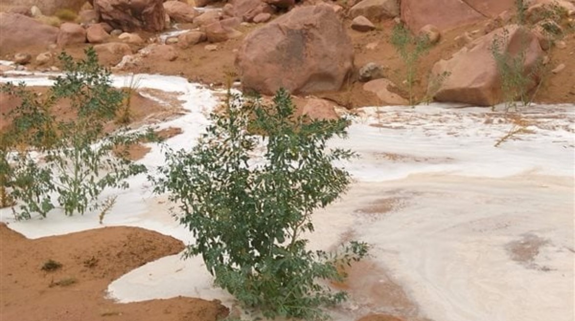 محافظة البحر الأحمر تعلن اطوارئ بسبب أمطار غزيرة وسيول بحلايب وشلاتين 