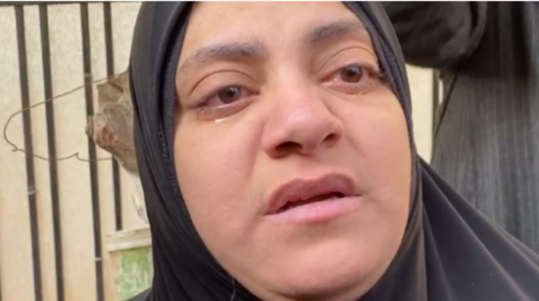 والدة عروس المنوفية