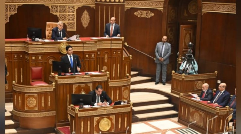 مجلس الشيوخ