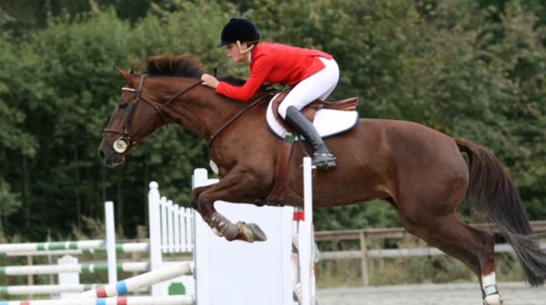 ركوب الخيل - أرشيفية