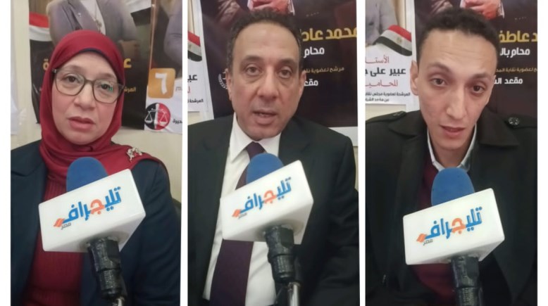 عمر هريدي يكشف أسباب تأييد ورفض محامين البحيرة حول دمج الانتخابات
