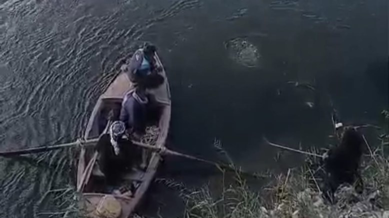 حادث بالبحيرة