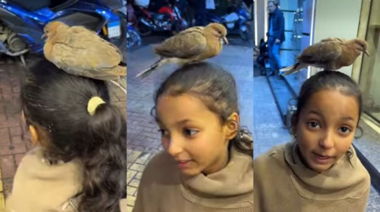 الطفلة ساجدة من الفيديو