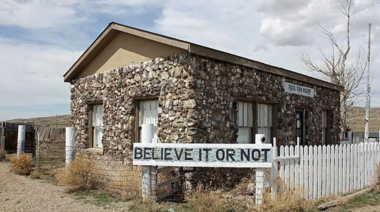  كوخ الأحافير