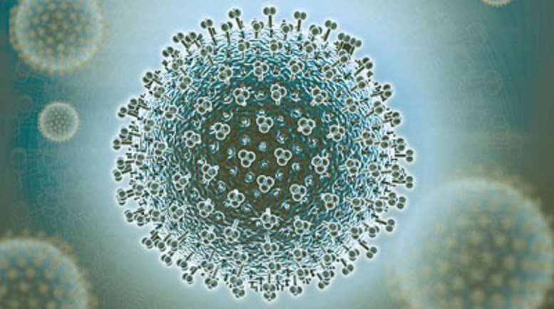 فيروسات عام 2026- تعبيرية