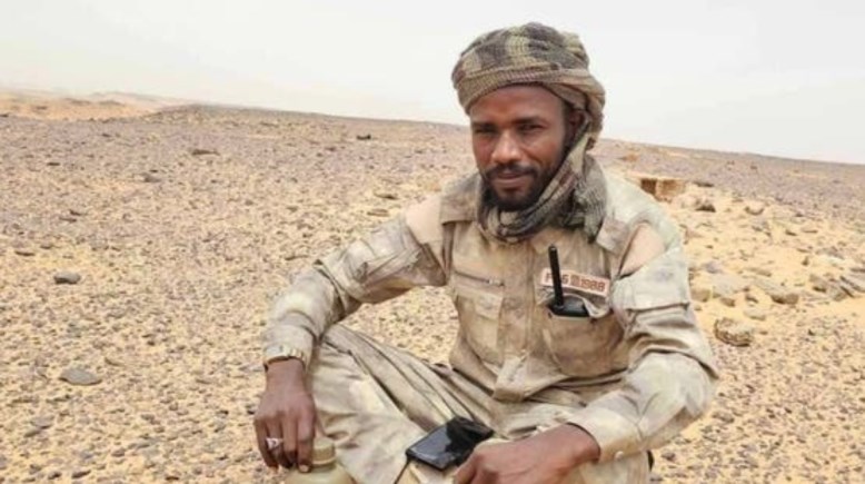 حامد علي أبوبكر