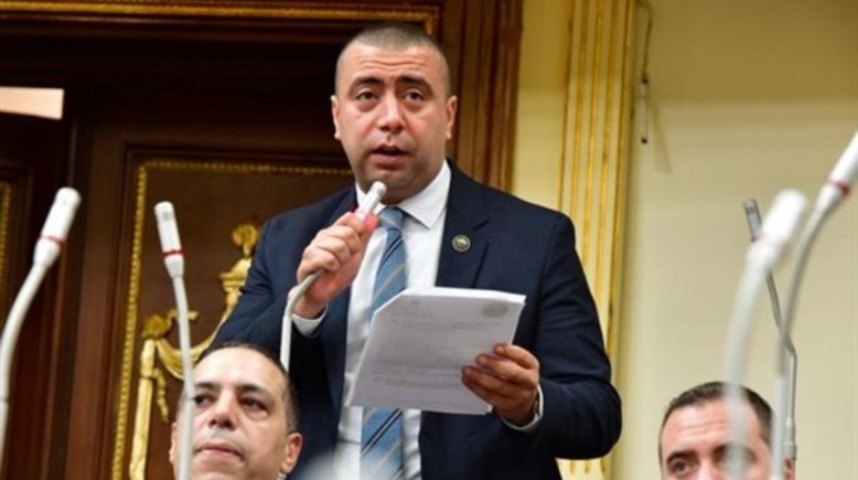 رئيس لجنة الصناعة بمجلس النواب، النائب أحمد بهاء شلبي