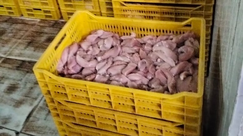 الضبط