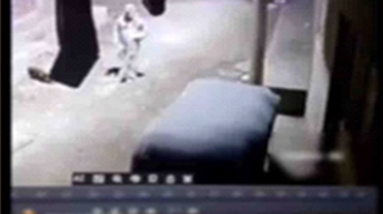 لقطة من الفيديو المتداول 