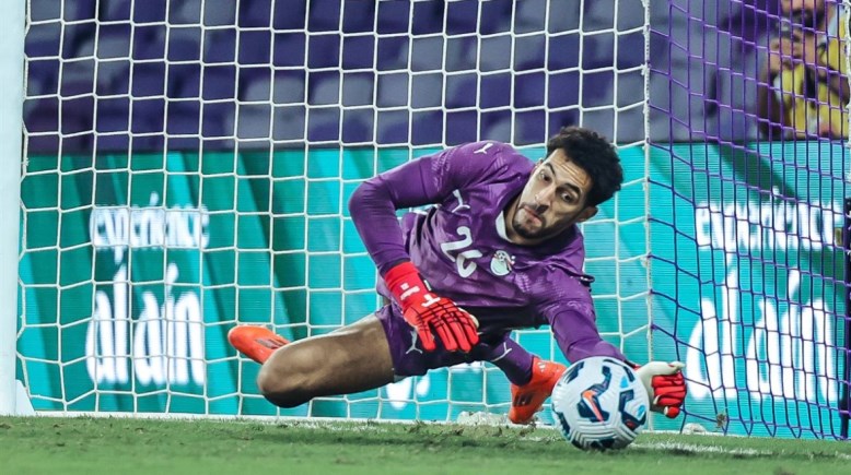 مصطفى شوبير 