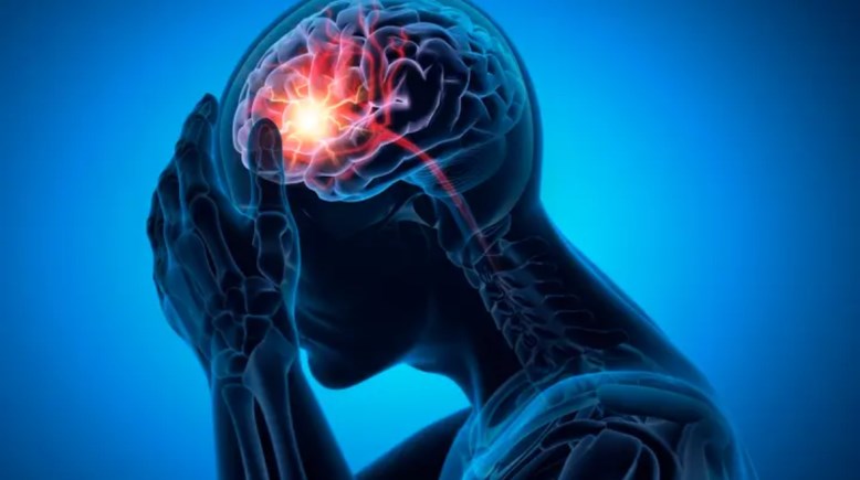 خلايا الجسم -أرشيفية 