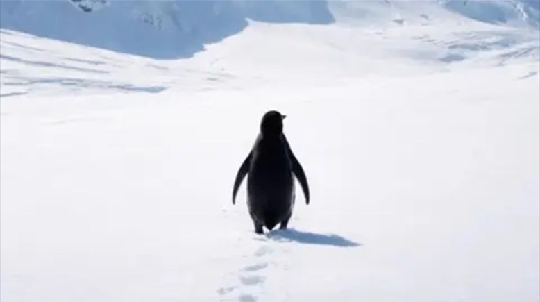 البطريق العدمي