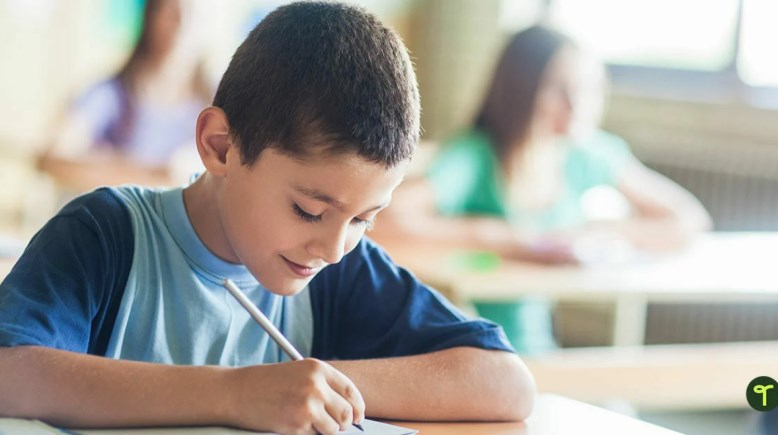  نتيجة سنوات النقل 2026 الجيزة