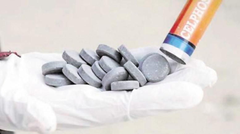 أقراص الغلة - أرشيفية