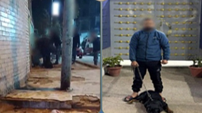 المتهم والكلب