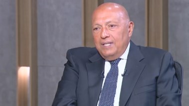 السفير سامح شكري