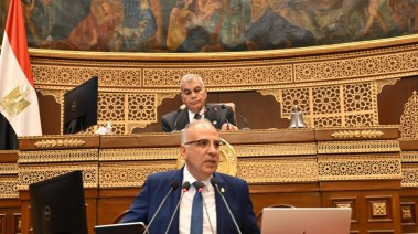 الدكتور هانى سويلم وزير الموارد المائية والري