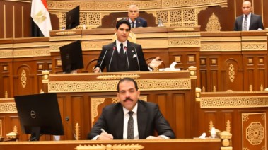 مجلس الشيوخ