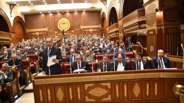 الجلسة العامة لمجلس الشيوخ