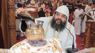 الأنبا إيلاريون