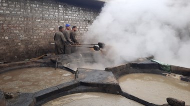 عصارات العسل الأسود بالمنيا