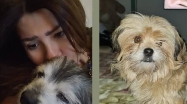 رانيا فريد شوقي مع كلابها