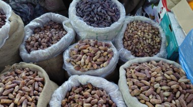 بلح رمضان 2026